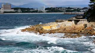 Wakayama Cruise Port: Shore Excursions & Expert Guide