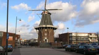 Delfzijl Cruise Port: Shore Excursions & Expert Guide