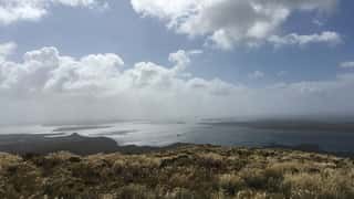 Auckland Island NZ Cruise Port