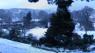 Dunedin