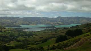 Akaroa Cruise Port: Shore Excursions & Expert Guide