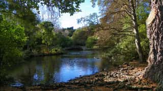 Invercargill (Bluff) Cruise Port: Expert Guide & Excursions