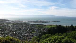 Nelson Cruise Port: Shore Excursions & Expert Expert Guide