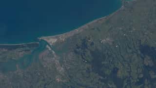 Tauranga Cruise Port: Expert Guide to Shore Excursions