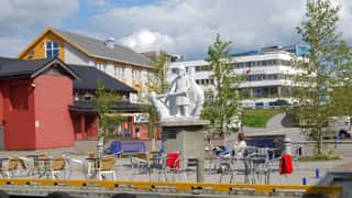 Finnsnes Cruise Port: Shore Excursions & Gateway to Senja