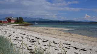 Harstad Cruise Port Guide: Shore Excursions & Expert Tips