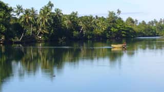 Madang Cruise Port: Shore Excursions & Expert Expert Guide