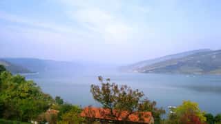 Donji Milanovac Cruise Port: Lepenski Vir & Expert Guide