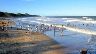 Richards Bay Cruise Port: Shore Excursions & Expert Guide