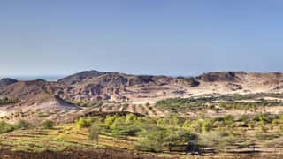Sir Bani Yas Cruise Port: Safari, Beaches & Expert Guide