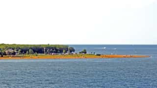 Annapolis Cruise Port: Shore Excursions & Expert Guide