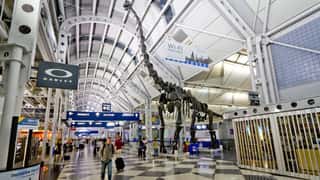 Chicago Cruise Port: Shore Excursions & Expert Guide
