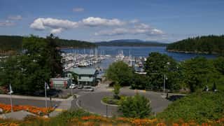 Friday Harbor Cruise Port: Shore Excursions & Expert Guide