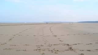 Norfolk Cruise Port: Shore Excursions & Expert Guide