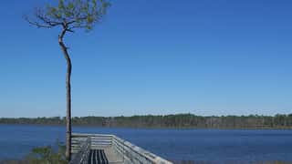 Pensacola Cruise Port: Shore Excursions & Expert Guide