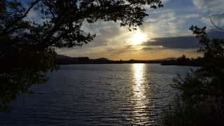 Richland Cruise Port: Columbia River Shore Excursions Guide