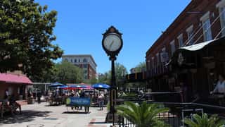 Savannah Cruise Port: Shore Excursions & Expert Guide