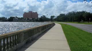 Tampa Cruise Port Guide: Shore Excursions & Local Secrets