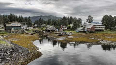 coastal village waterfront forest