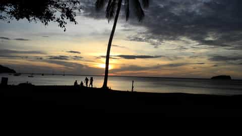 beach sunset palm tree ocean view