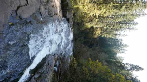waterfall forest rocks