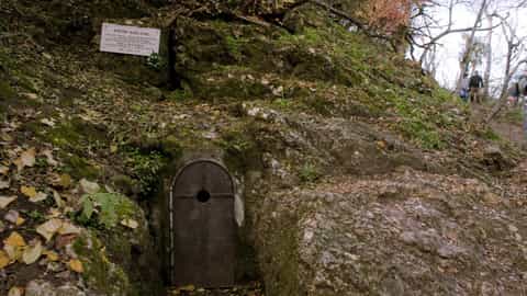 cave entrance rocky hillside forest