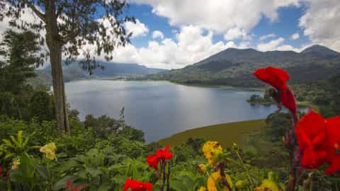 lake mountains flowers landscape