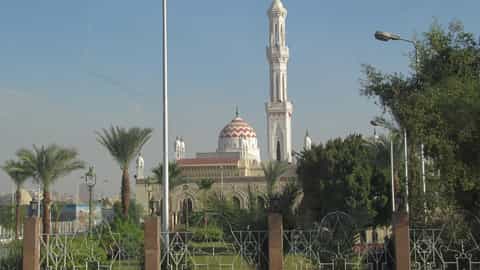 mosque minaret palm trees cityscape