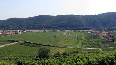 vineyard landscape village river hills