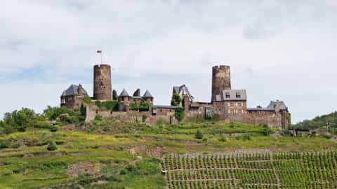 castle on hill with vineyard