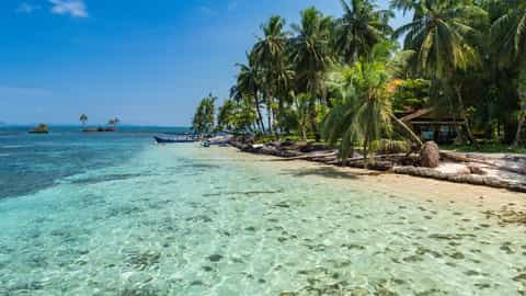 tropical island beach clear water palm trees