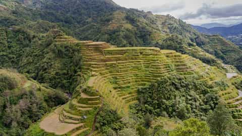rice terraces mountains landscape