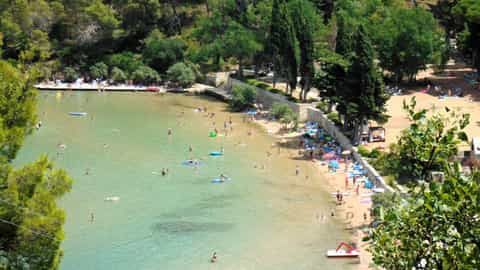 beach bay swimming sunbathing trees