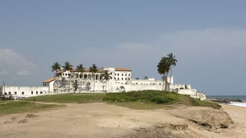 historic coastal fort palm trees