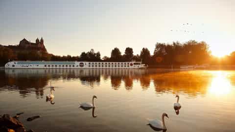 A river ship sails at sunrise with swans on the water - Arosa Aqua, A Rosa Cruises