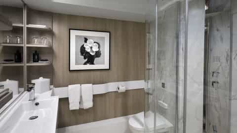 A modern bathroom with a sink, toilet, and glass shower - Celebrity Apex, Celebrity Cruises