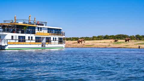 A riverboat sails past elephants on the shore - African Dream, CroisiEurope