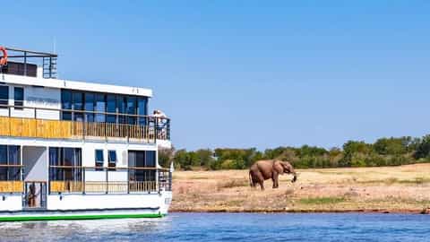 A riverboat sails past elephants on the shore - African Dream, CroisiEurope