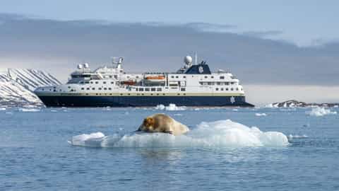 A ship sails past a seal on an ice floe - MS Spitsbergen, HX Expeditions