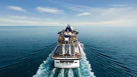 A large cruise ship sails on the ocean - MSC Seashore, MSC Cruises