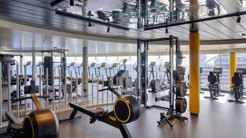 A modern gym with treadmills, rowers, and weight machines - MSC Seaview, MSC Cruises