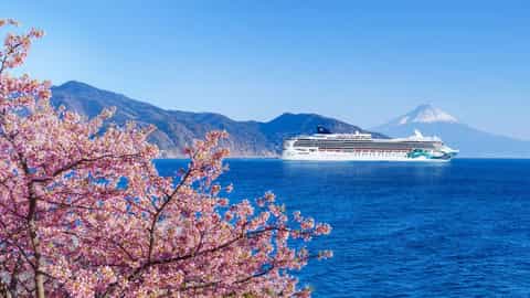 A cruise ship sails on the ocean with Mt. Fuji in the background - Norwegian Jade, Norwegian Cruise Line