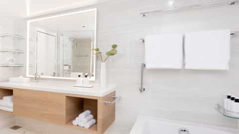 A modern bathroom with a bathtub and vanity - Sun Princess, Princess Cruises