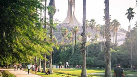 Algiers Cruise Port: Casbah Guide & Shore Excursions