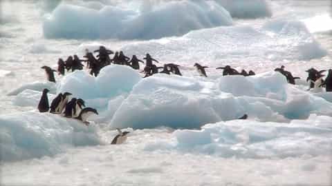 Antarctic Peninsula Cruise Port