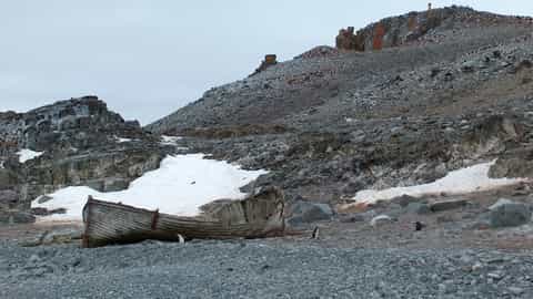 South Shetland Islands Cruise Port