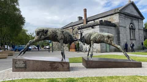 Killarney Cruise Port