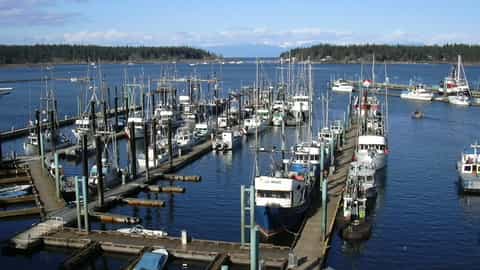 Nanaimo Cruise Port