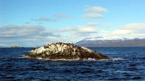 Beagle Channel Cruise Port