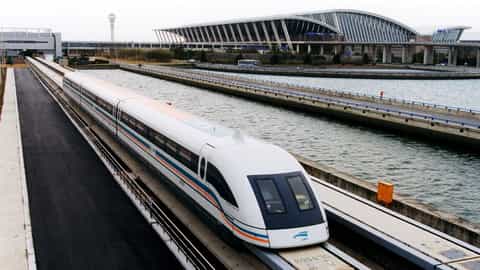 Shanghai Cruise Port: Shore Excursions & Expert Guide
